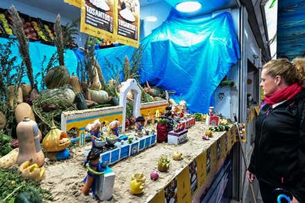 Imagen del primer premio de la modalidad de frutas en el Mercado central de Tosantos 2024. Foto: Eulogio García.