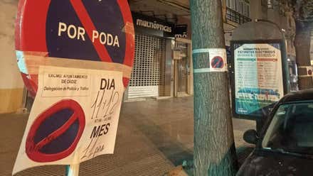 El Ayuntamiento de Cádiz anuncia una campaña de poda dos semanas después de las denuncias de Agaden