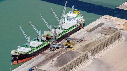 El descenso de los graneles y la pesca arrastra a la baja el tráfico en el Puerto de Cádiz