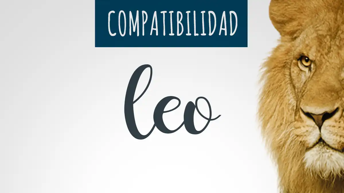 Compatibilidad de Leo