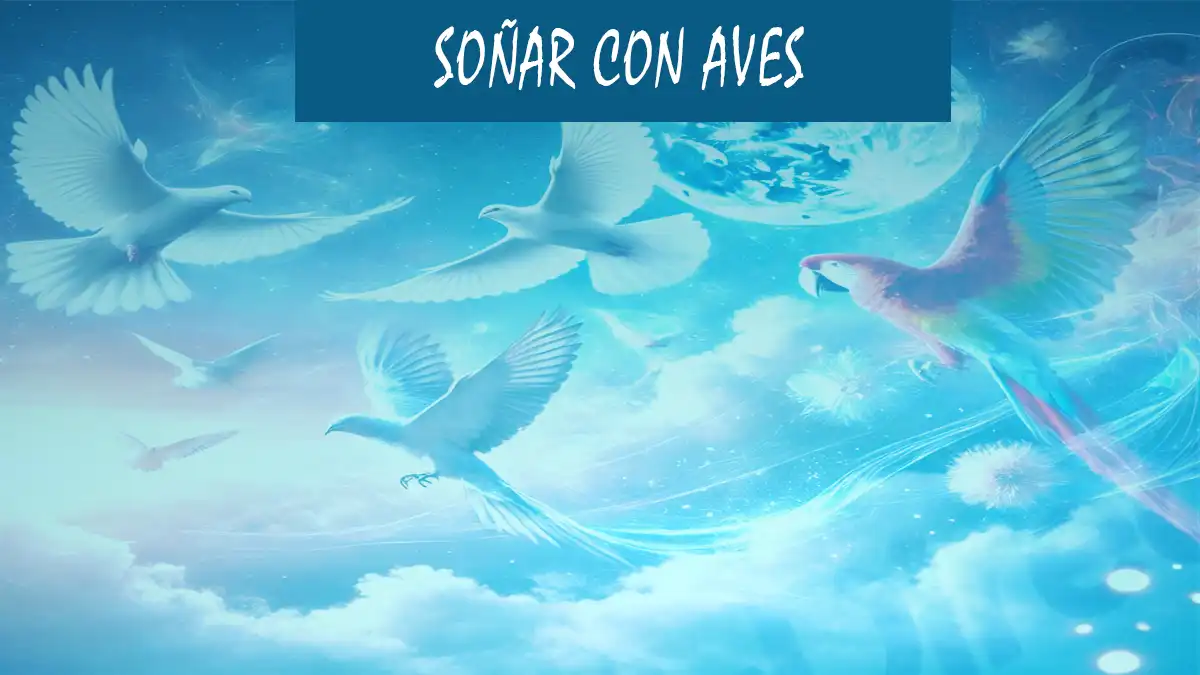 Soñar con Aves