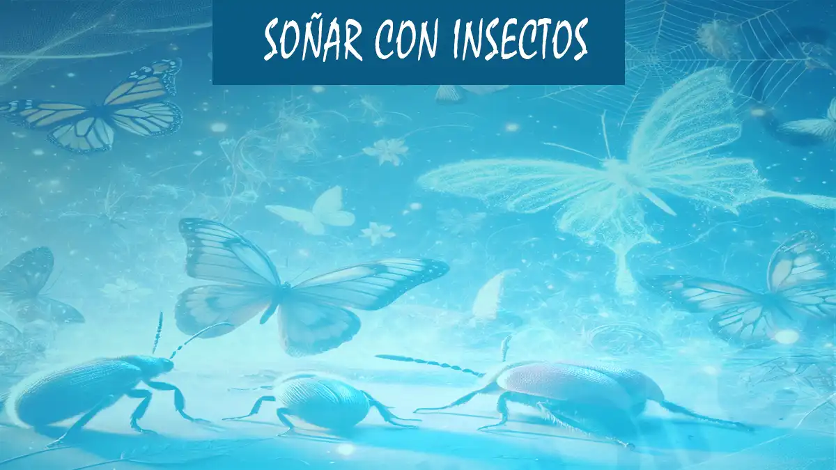 Soñar con Insectos
