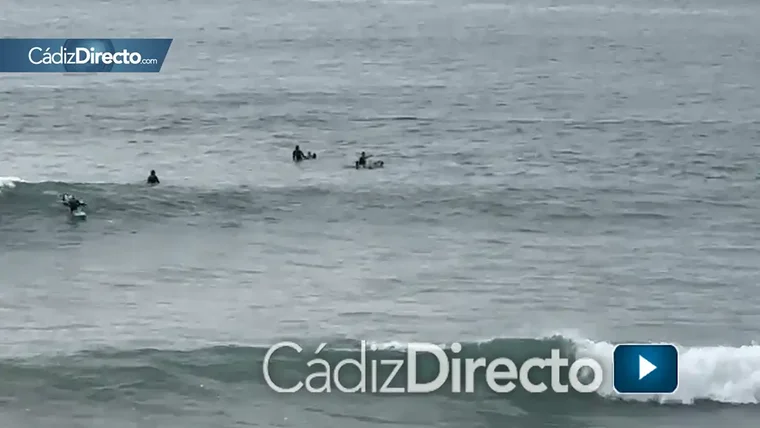 Un grupo de surfistas rescatan a tres bañistas atrapados por la corriente en Santa María del Mar