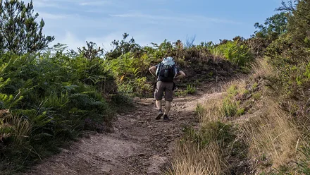 Conoce la agencia de referencia para hacer rutas naturales