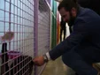 El delegando de Bienestar Animal de Chiclana visita el centro canino ‘La Luna’ que gestiona la recogida de animales
