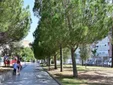 El calor aprieta en Cádiz: cómo será el fin de semana y cuándo llegará el alivio
