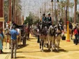 Programación de la Feria del Caballo 2025