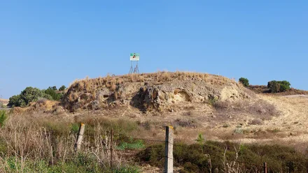 Asta Regia, la joya romana escondida bajo un trigal en Jerez de la Frontera