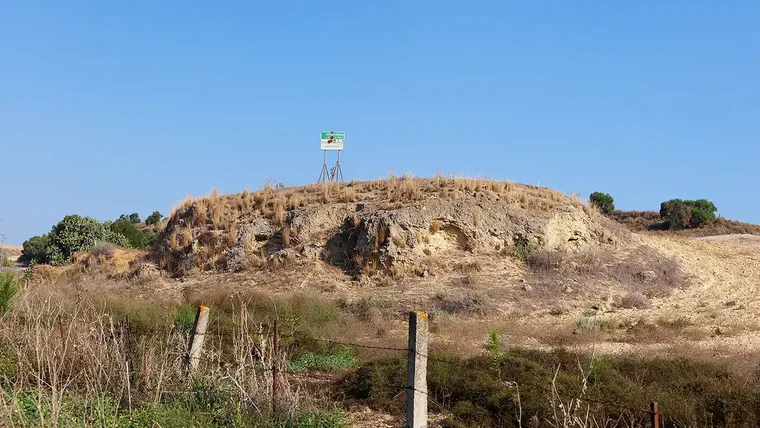Asta Regia, la joya romana escondida bajo un trigal en Jerez de la Frontera
