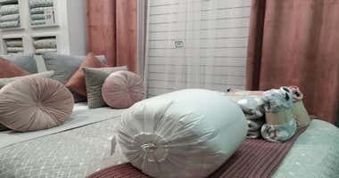 Tramas y El toro de Sacramento: nuevas aperturas en el centro de Cádiz