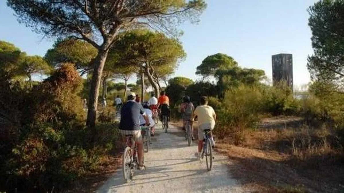 Grupo de ciclistas en el Parque de Los Toruños.