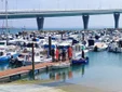 Rescatada una mujer tras precipitarse desde el Puente de la Constitución en Cádiz