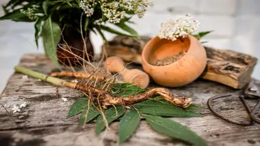 Fitoterapia y suplementación natural: una visión integral