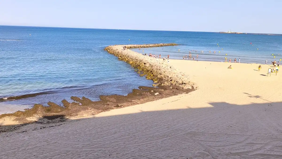 Algas en Santa María del Mar de Cádiz