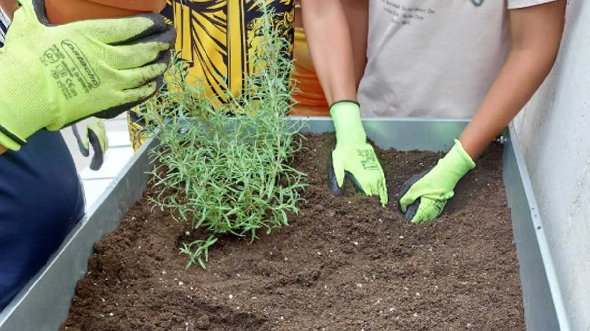 Personas con guantes de color verde plantando unas macetas.