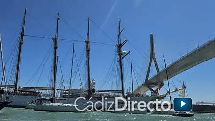 Así cruzó el Elcano bajo los dos puentes de la Bahía en su regreso a Cádiz