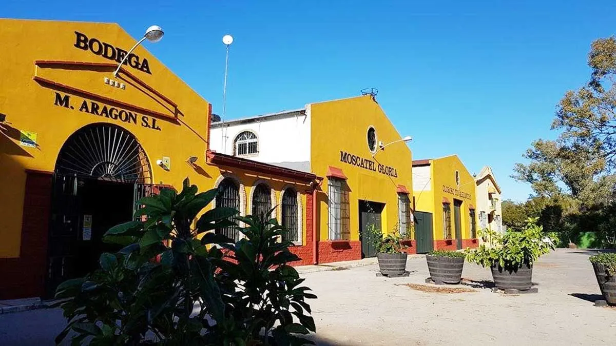 Edificios en amarillo albero de las bodegas chiclaneras de Manuel Aragón.
