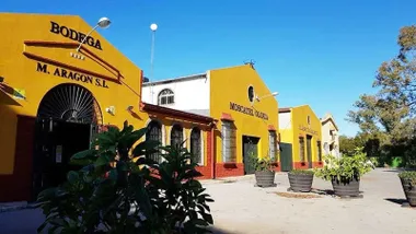 Edificios en amarillo albero de las bodegas chiclaneras de Manuel Aragón.