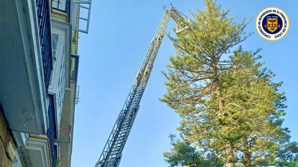 Momento de la intervención de los bomberos en la Plaza de candelaria.
