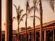 Este viernes abre sus puertas en Cádiz Calachica: horarios y actuaciones de un estreno muy esperado