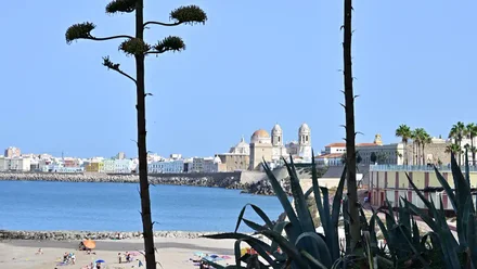 Panorámica de Cádiz con la catedral al fondo y el Campo del Sur visto desde la zona superior de la playa de Santa María del Mar, enmarcado por vegetación.
