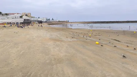 Imagen de la playa de La Caleta en Cádiz durante la bajamar. En primer plano, varias gaviotas se agrupan en la arena húmeda junto a la orilla. Al fondo, el cielo aparece cubierto de nubes grises que refuerzan la sensación de frescor, propio del viento de suroeste que domina la jornada. La playa presenta un ambiente tranquilo, sin apenas bañistas, destacando la atmósfera húmeda y algo desapacible del día.