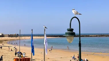 Dos gaviotas reposan en los mástiles que sostienen las banderas azul y Q de Calidad en la playa de la Caleta. Al fondo, cielo azul y ambiente soleado