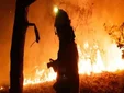 Bomberos de Cádiz viajan a Ourense para reforzar la extinción de los incendios forestales