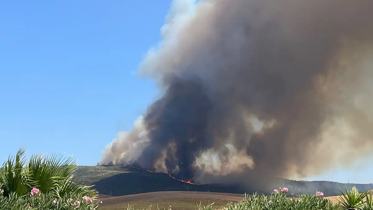 Vista de uno de los frentes activos del incendio de Tarifa, que sigue avanzando en la zona forestal del Parque Natural del Estrecho