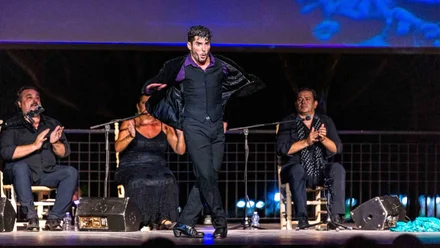 Bailaó en el escenario en plena actuación de flamenco.