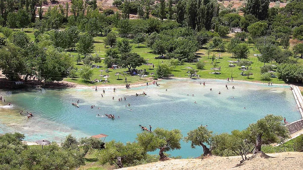 Vista elevada de la zona de La Playita, destaca la naturaleza y el verde de los árboles.