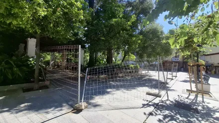 Vallas en la Plaza de Candelaria de Cádiz, por probelmas de seguridad por la caída de piñas.