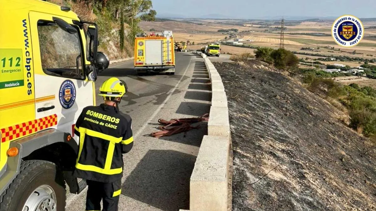 Camión de bomberos y bombero en una superficie calcinada,