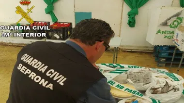 Guardia Civil del SEPRONA gestionando procedencia de alimentos.