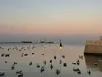 Subida de las temperaturas en la provincia de Cádiz antes de la posible llegada de la borrasca Gabrielle