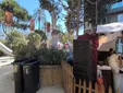 Más olvidos del Ayuntamiento en Cádiz Romana: la estatua de Columela deteriorada en el Parque Genovés