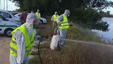 Trabajadores fumigando una zona de agua posible criadero de mosquitos.