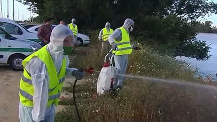 Trabajadores fumigando una zona de agua posible criadero de mosquitos.