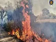 Incendio en Jerez: arden 3,5 hectáreas en la Finca Berlanguilla