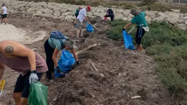 Un grupo de personas limpjando y recogiendo en bolsas la basura recogida.