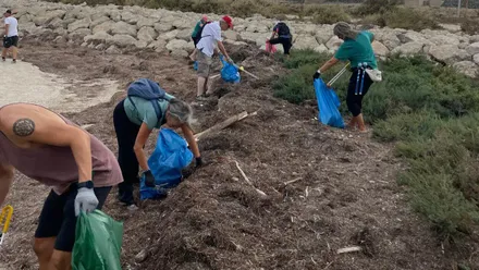 Un grupo de personas limpjando y recogiendo en bolsas la basura recogida.