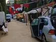 Polémica con el Mercado Romano en Cádiz: ecologistas denuncian daños al arbolado del Parque Genovés