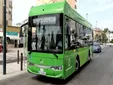 El Ayuntamiento de Rota activa un servicio especial de autobuses para visitar el cementerio en Tosantos y Difuntos