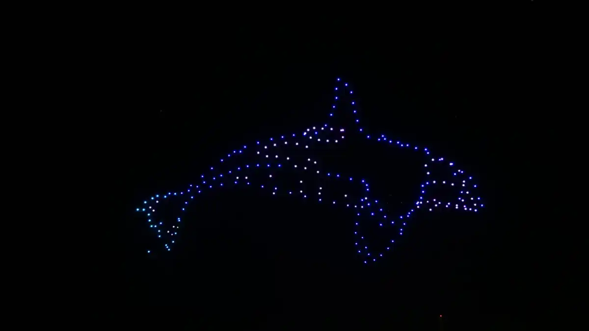 Silueta de una orca que dio la sensación de lanzarse sobre el mar iluminado.