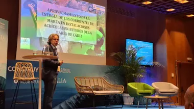 La iniciativa propone aprovechar las corrientes de mareas en esteros y salinas de la Bahía de Cádiz para generar hasta 500 megavatios de energía renovable, combinando tradición acuícola con innovación en economía azul.