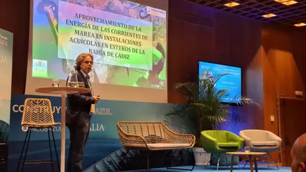 La iniciativa propone aprovechar las corrientes de mareas en esteros y salinas de la Bahía de Cádiz para generar hasta 500 megavatios de energía renovable, combinando tradición acuícola con innovación en economía azul.