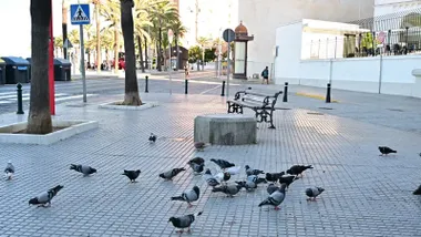 Lugar del que hace un año se retiró una farola junto al árbol del Mora para el expectáculo de La Fura del Baus. Sigue el hueco. Foto: Eulogio García.