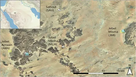 Descubren en Arabia el arte rupestre más antiguo con escenas de camellos de hace 12.000 años
