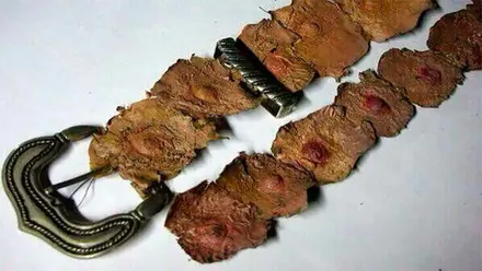 Cinturón realizado con piel humana