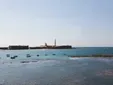 El perfil del turista de Cádiz en 2025: qué se puede aprender pensando en la próxima temporada veraniega